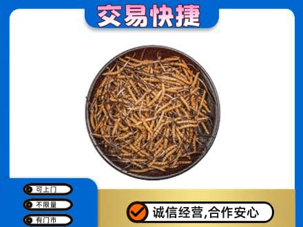 太原市娄烦回收散虫草